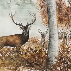 Housse Cerfs ou Pigeons ?