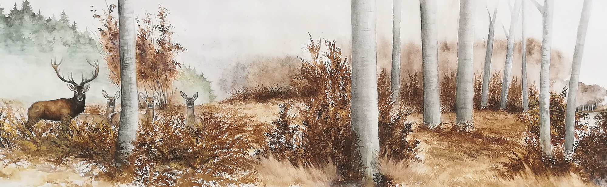 Thibault de Witte